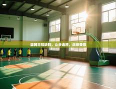 篮网主控缺阵，止步连胜，战绩受损