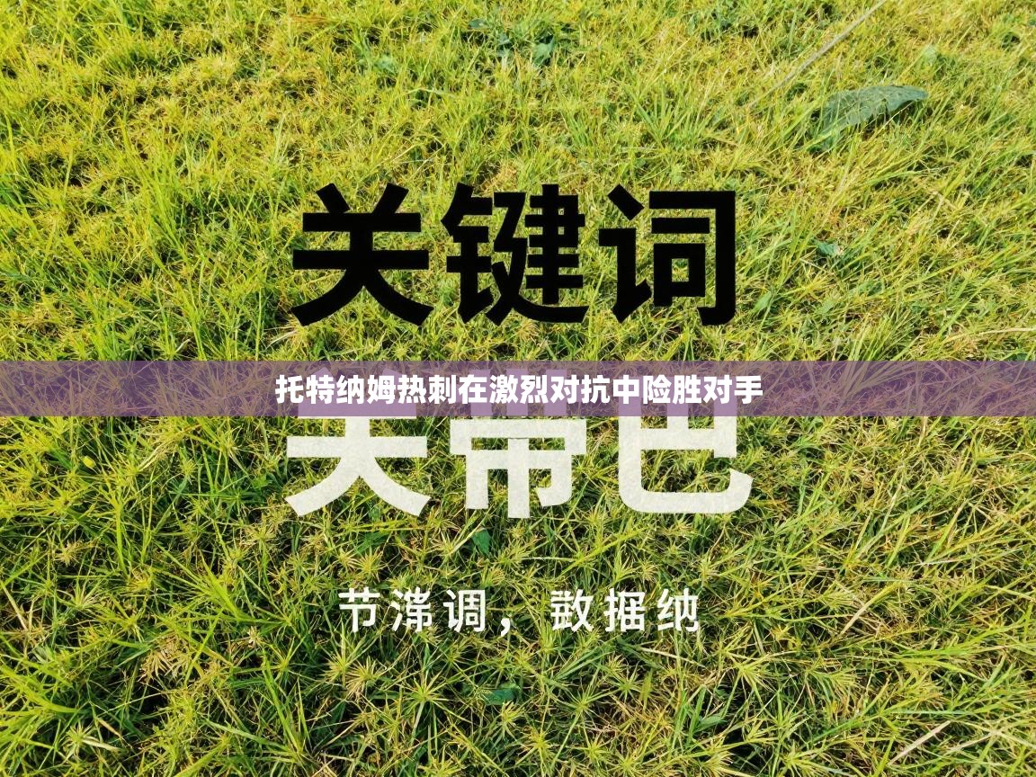 托特纳姆热刺在激烈对抗中险胜对手  第2张