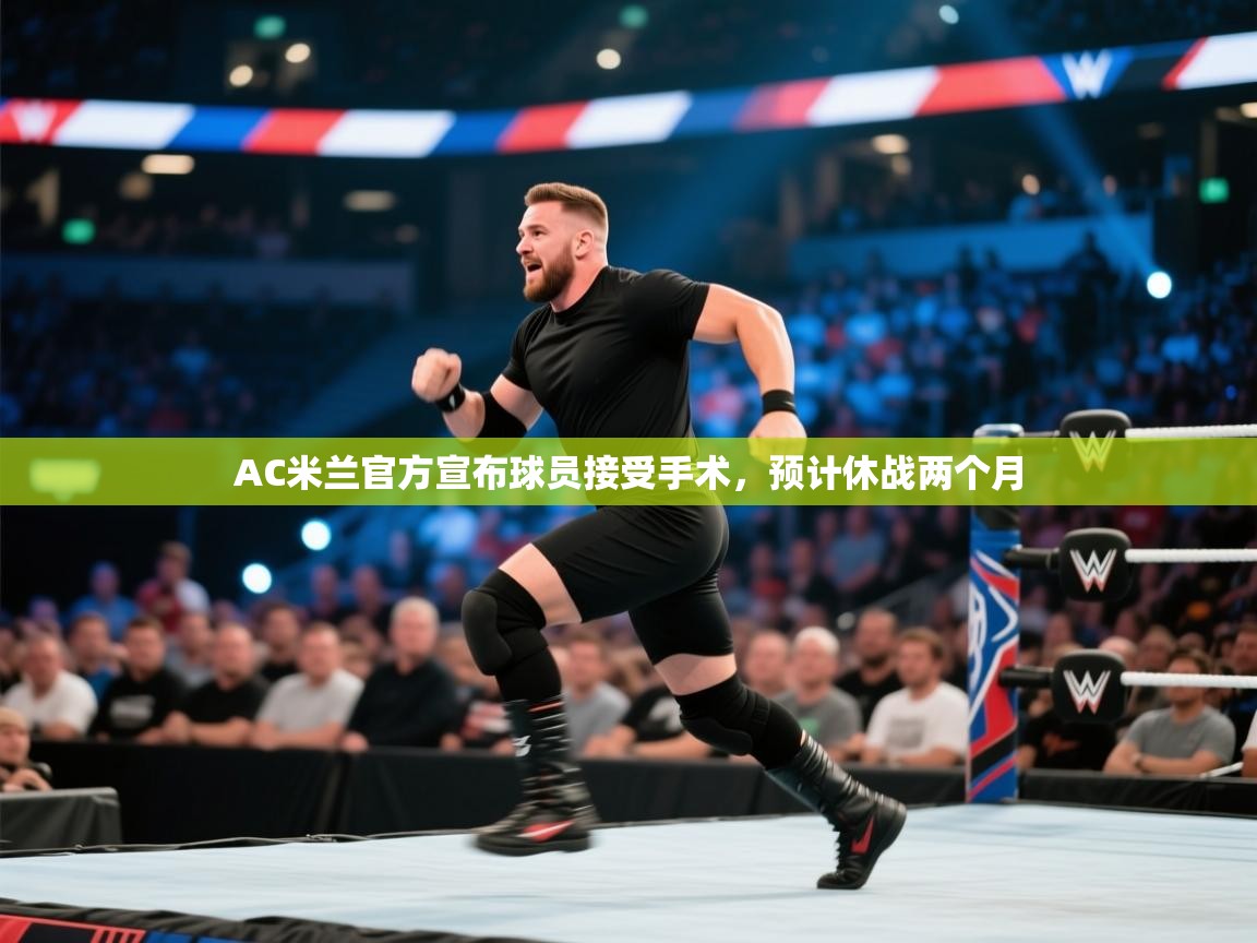 AC米兰官方宣布球员接受手术,预计休战两个月 第1张