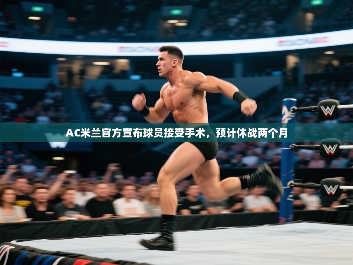 AC米兰官方宣布球员接受手术,预计休战两个月 第2张