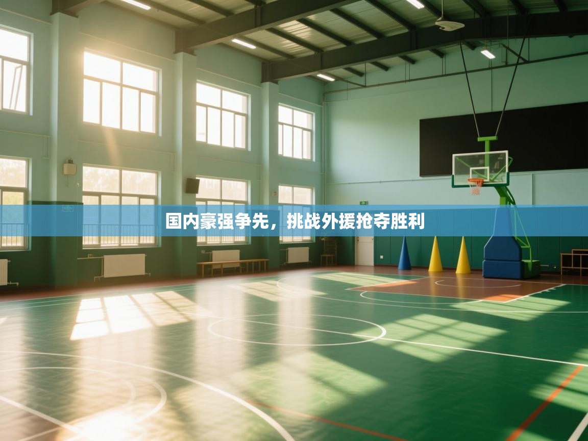 国内豪强争先,挑战外援抢夺胜利 第1张