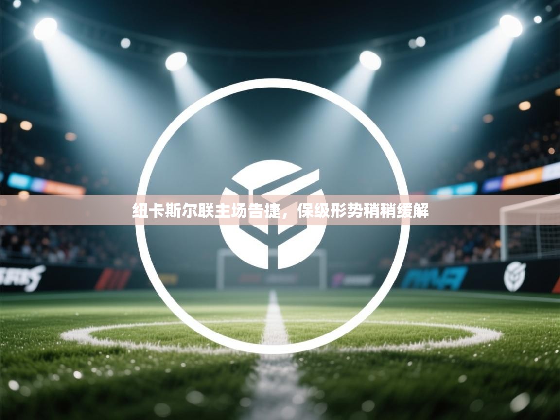 纽卡斯尔联主场告捷，保级形势稍稍缓解  第2张